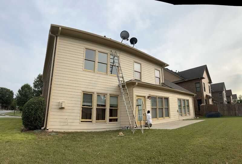 Professional painting